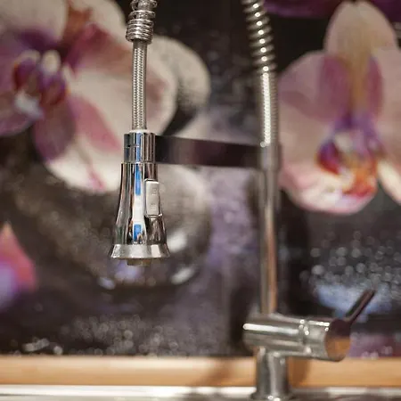 Juka * Biały Dunajec