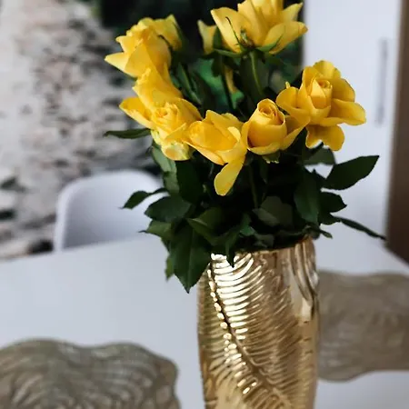 Feriehus Juka Biały Dunajec