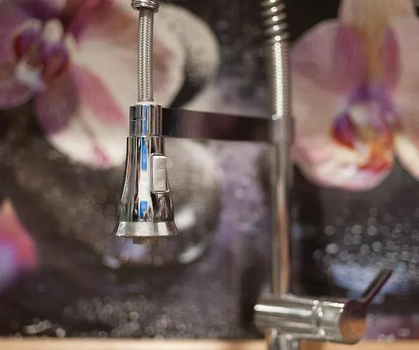 Juka * Biały Dunajec