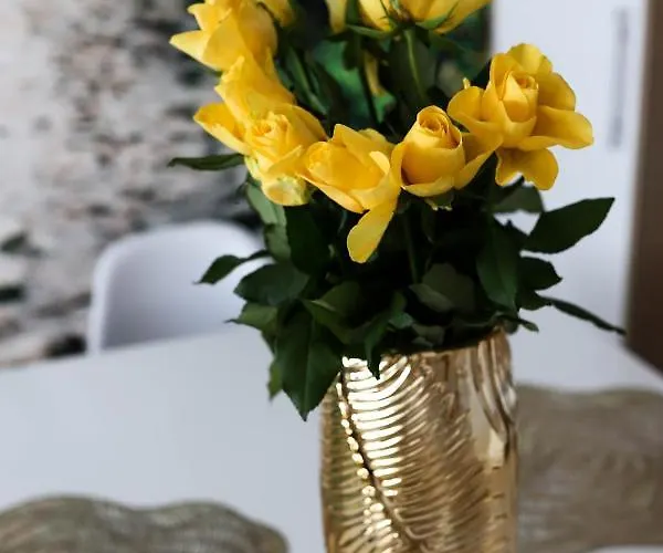 בית נופש Juka ביאלי דונאייק